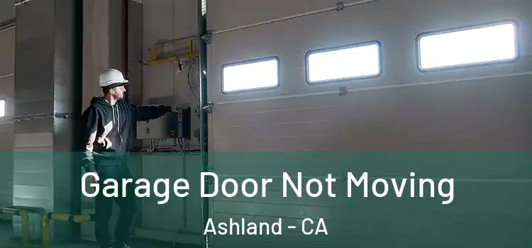  Garage Door Not Moving Ashland - CA