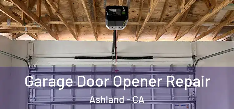  Garage Door Opener Repair Ashland - CA
