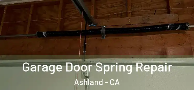  Garage Door Spring Repair Ashland - CA