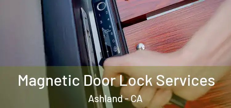 Magnetic Door Lock Services Ashland - CA